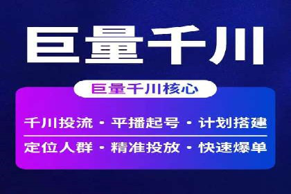 行业领先企业的SEM竞价代运营案例解析